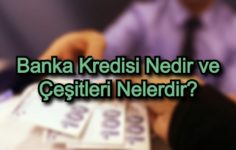 Banka Kredisi Nedir ve Çeşitleri Nelerdir?