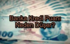 Banka Kredi Puanı Neden Düşer?