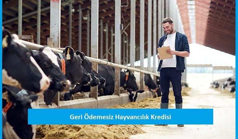 Geri Ödemesiz Hayvancılık Kredisi Nasıl Alınır?