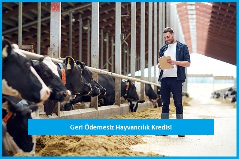 Geri Ödemesiz Hayvancılık Kredisi Nasıl Alınır?